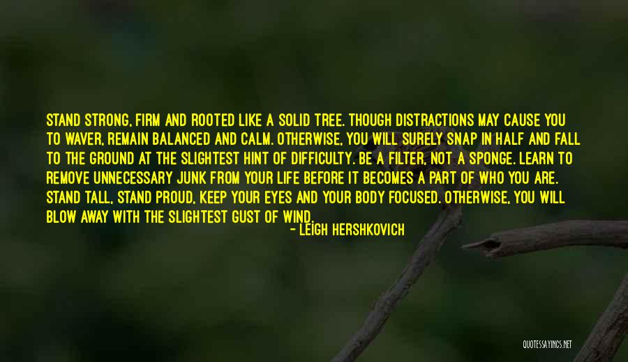 Sponge It Quotes By Leigh Hershkovich Sponge It Quotes By Leigh Hershkovich