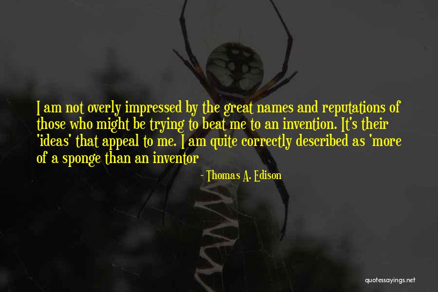 Sponge It Quotes By Thomas A. Edison Sponge It Quotes By Thomas A. Edison