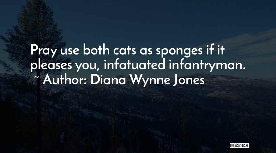 Sponges Quotes By Diana Wynne Jones