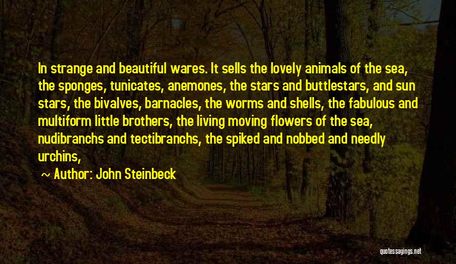 Sponges Quotes By John Steinbeck