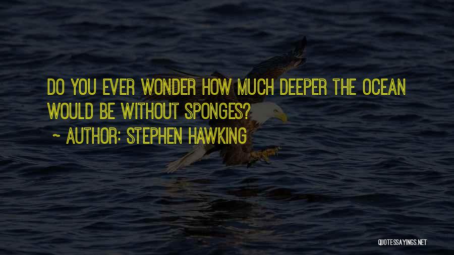Sponges Quotes By Stephen Hawking