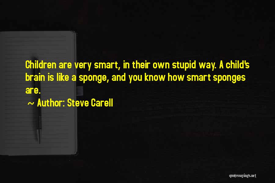 Sponges Quotes By Steve Carell