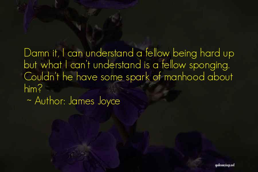 Sponging Quotes By James Joyce