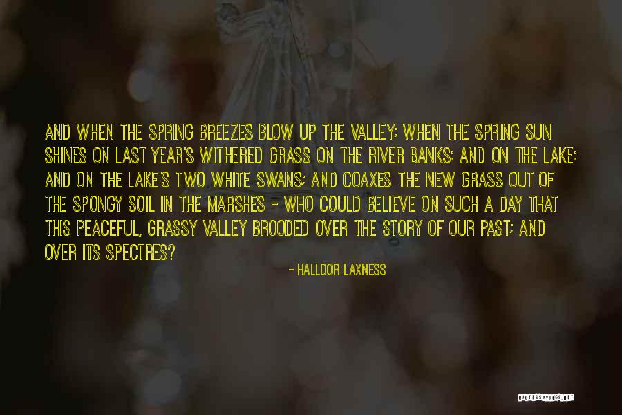 Spongy Quotes By Halldor Laxness Spongy Quotes By Halldor Laxness