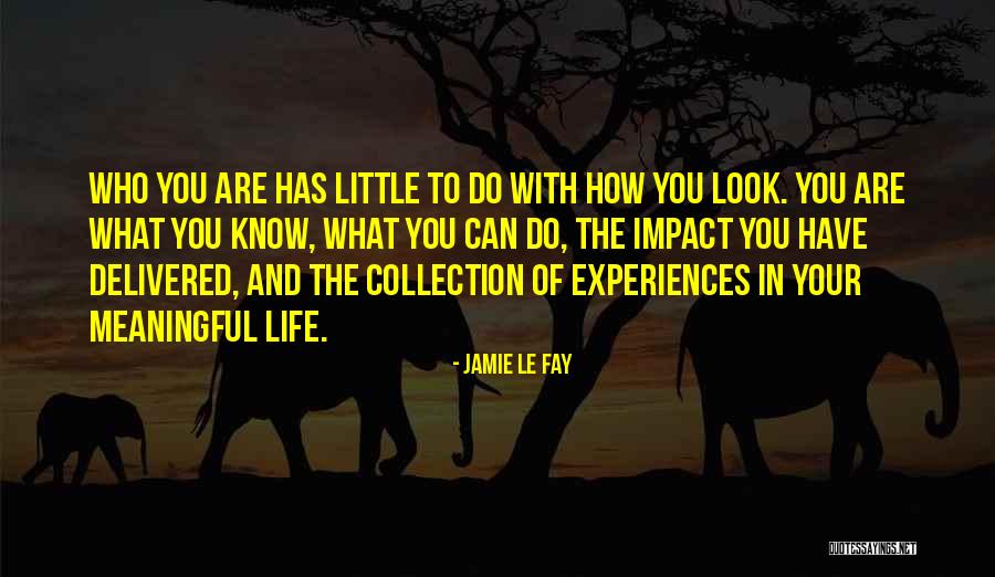 Spontanes Where Did I Go Wrong Quotes By Jamie Le Fay Spontanes Where Did I Go Wrong Quotes By Jamie Le Fay