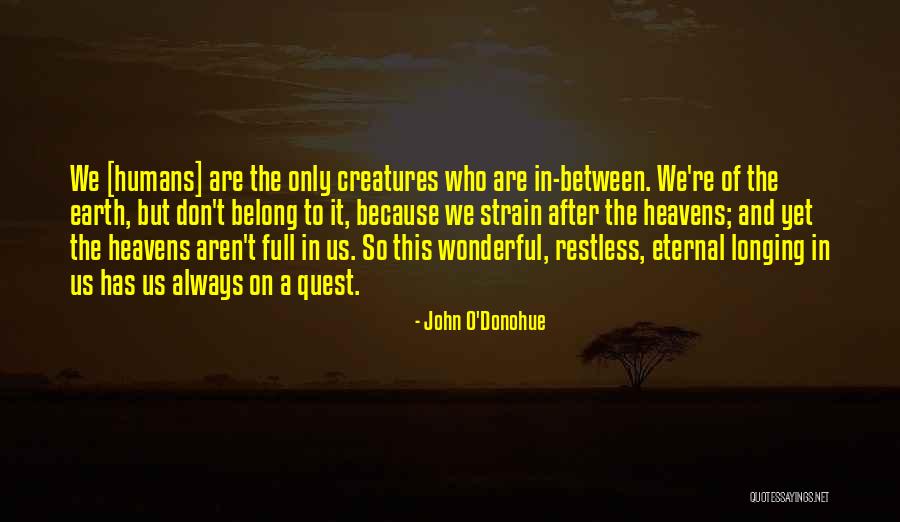 Spooked In Seattle Quotes By John O'Donohue Spooked In Seattle Quotes By John O'Donohue
