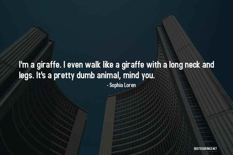 Spooking Horses Quotes By Sophia Loren Spooking Horses Quotes By Sophia Loren