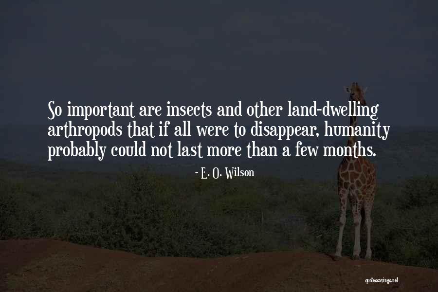 Spools Of Elastic 1 4 Quotes By E. O. Wilson Spools Of Elastic 1 4 Quotes By E. O. Wilson