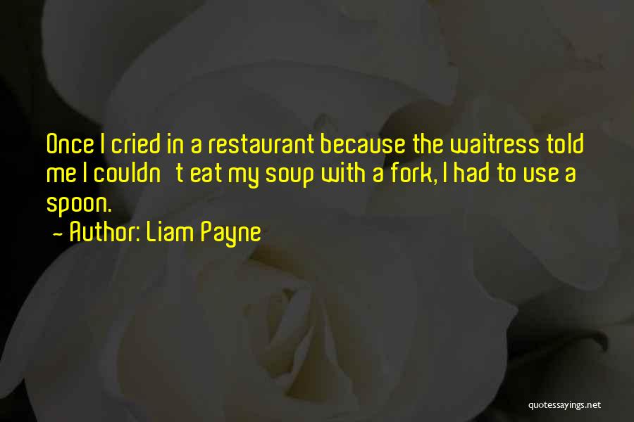 Spoon And Fork Quotes By Liam Payne