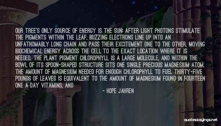 Spoon Bowl Quotes By Hope Jahren Spoon Bowl Quotes By Hope Jahren