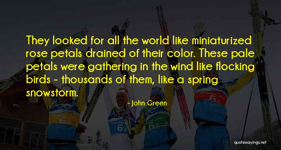 Spoon Fulla Sugar Quotes By John Green Spoon Fulla Sugar Quotes By John Green