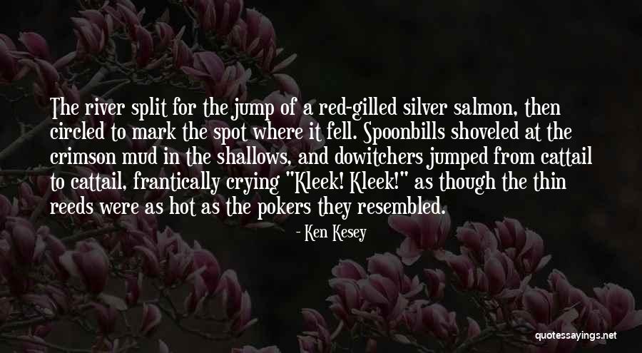 Spoonbills Quotes By Ken Kesey Spoonbills Quotes By Ken Kesey