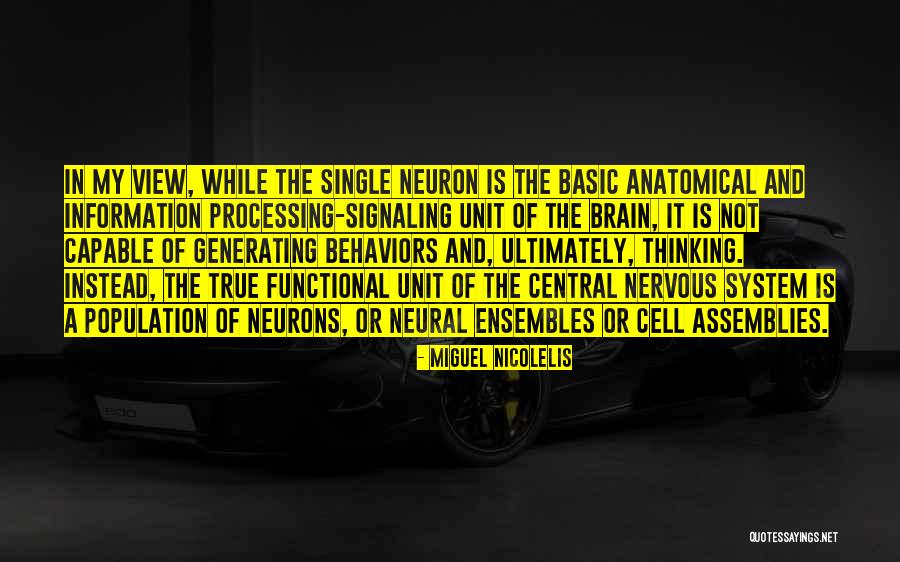 Spoorwegen Zweden Quotes By Miguel Nicolelis Spoorwegen Zweden Quotes By Miguel Nicolelis