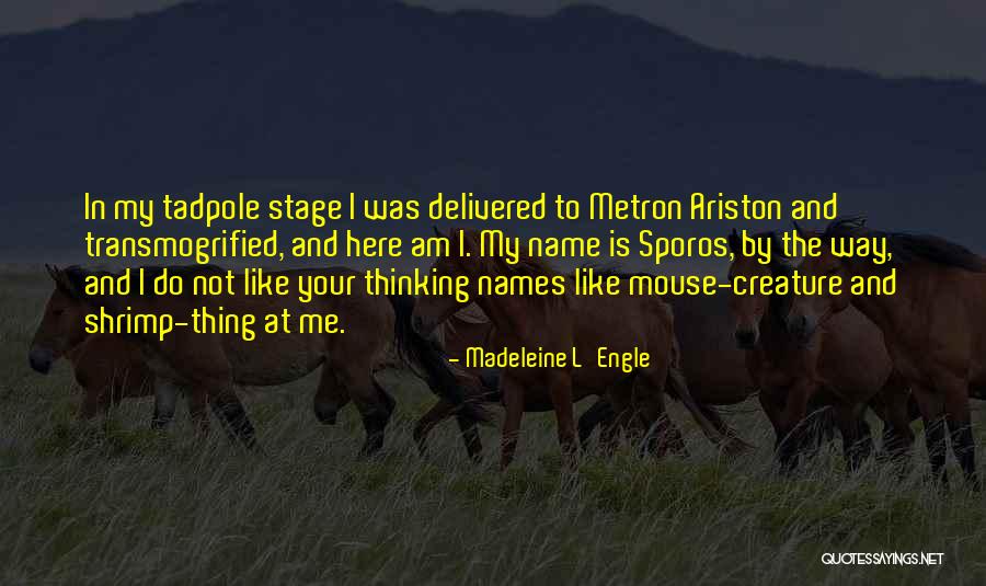 Sporos Quotes By Madeleine L'Engle Sporos Quotes By Madeleine L'Engle