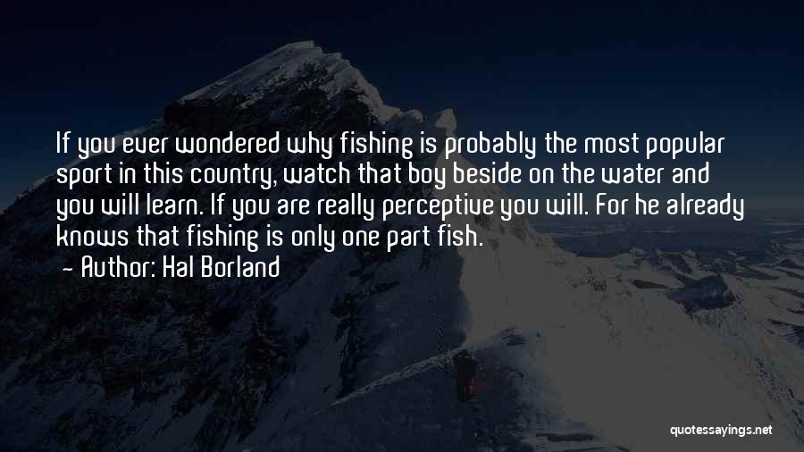 Sport Fishing Quotes By Hal Borland