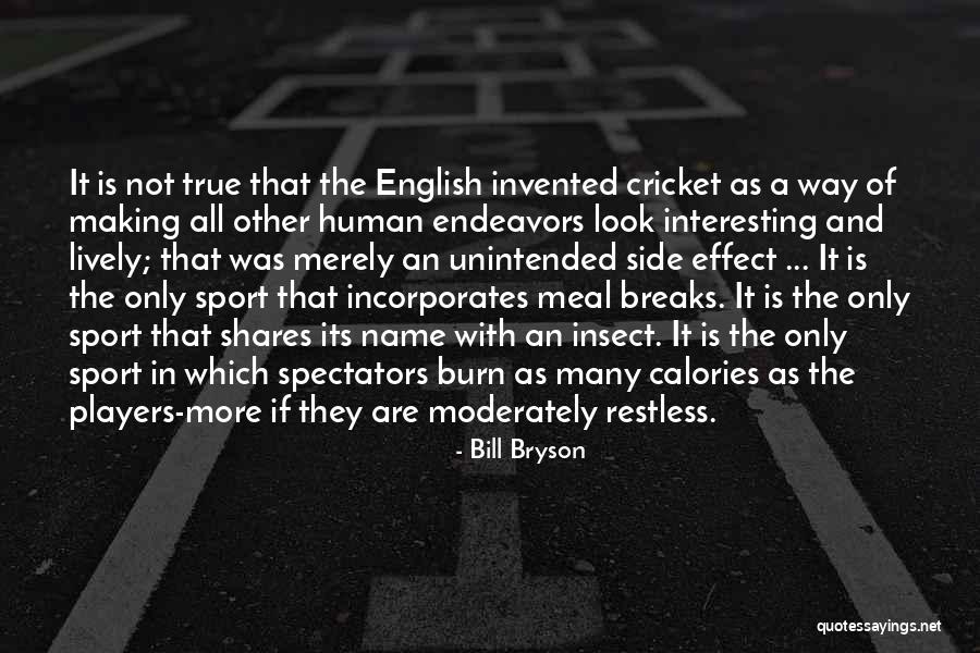 Sport Spectators Quotes By Bill Bryson