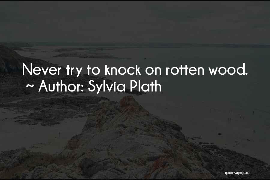 Sports Announcer Quotes By Sylvia Plath