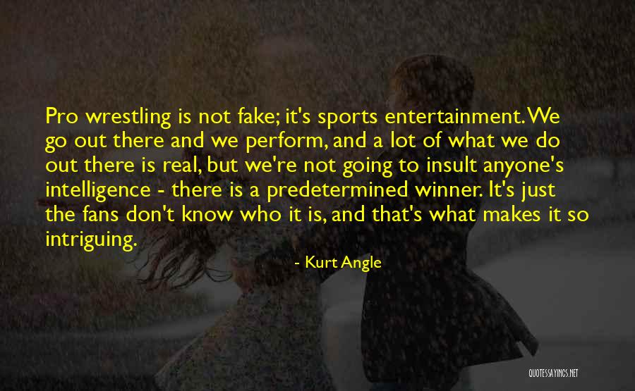 Sports Fans Quotes By Kurt Angle