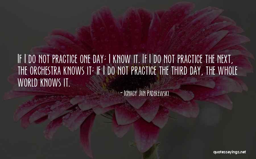 Sports Leadership Quotes By Ignacy Jan Paderewski Sports Leadership Quotes By Ignacy Jan Paderewski