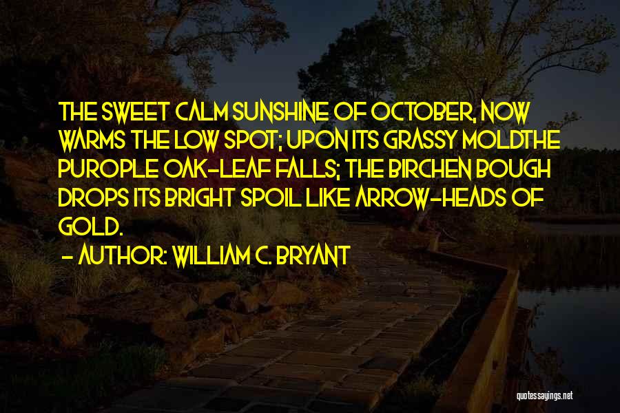 Spot Gold Quotes By William C. Bryant