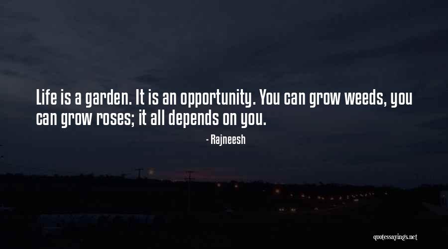 Spotlessly Chic Quotes By Rajneesh Spotlessly Chic Quotes By Rajneesh