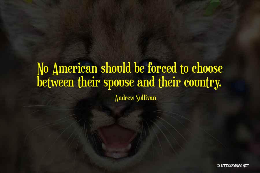 Spouse Quotes By Andrew Sullivan