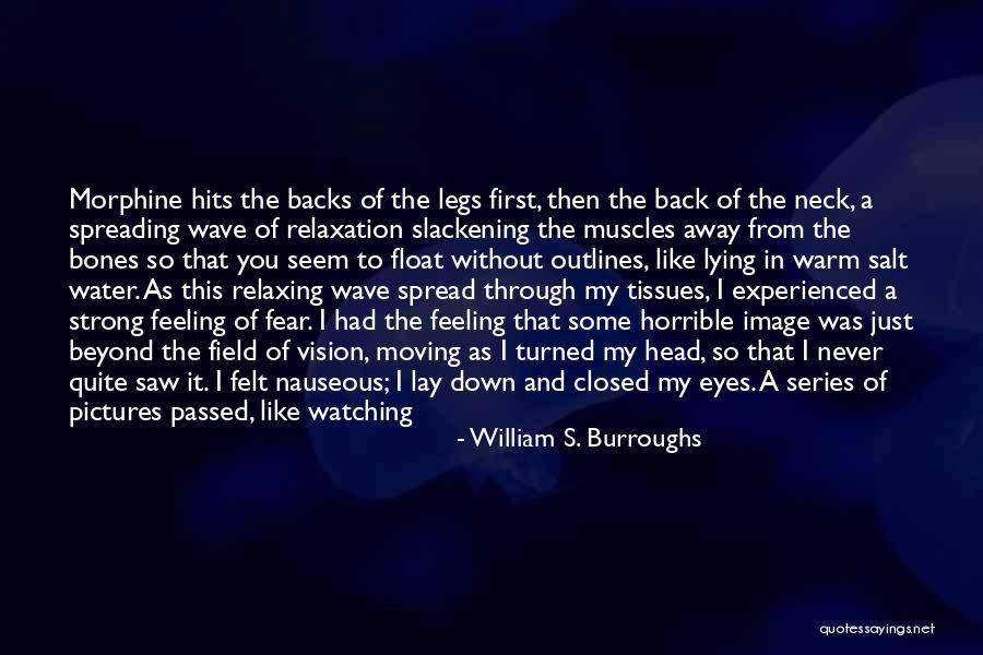 Spread Legs Quotes By William S. Burroughs