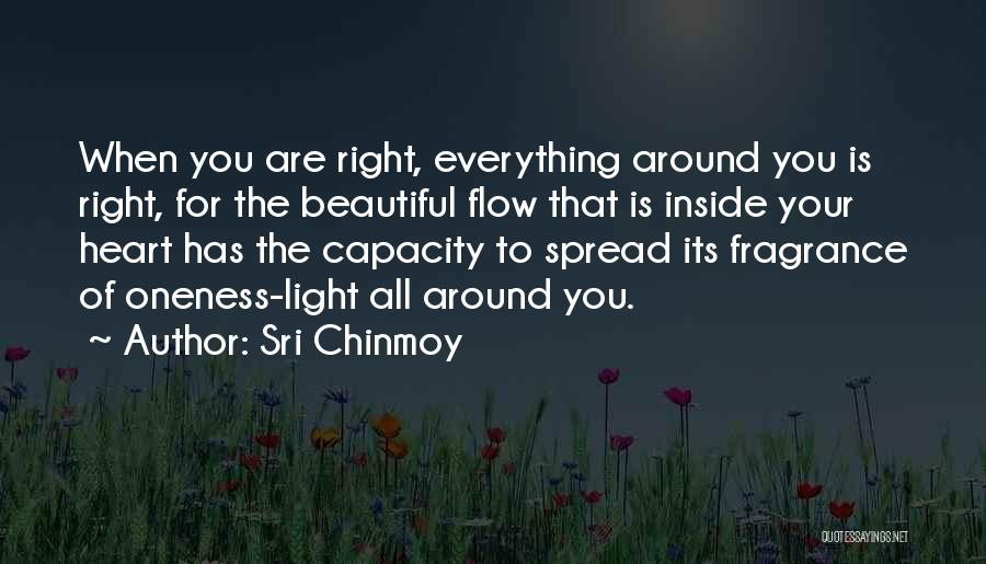 Spread Light Quotes By Sri Chinmoy