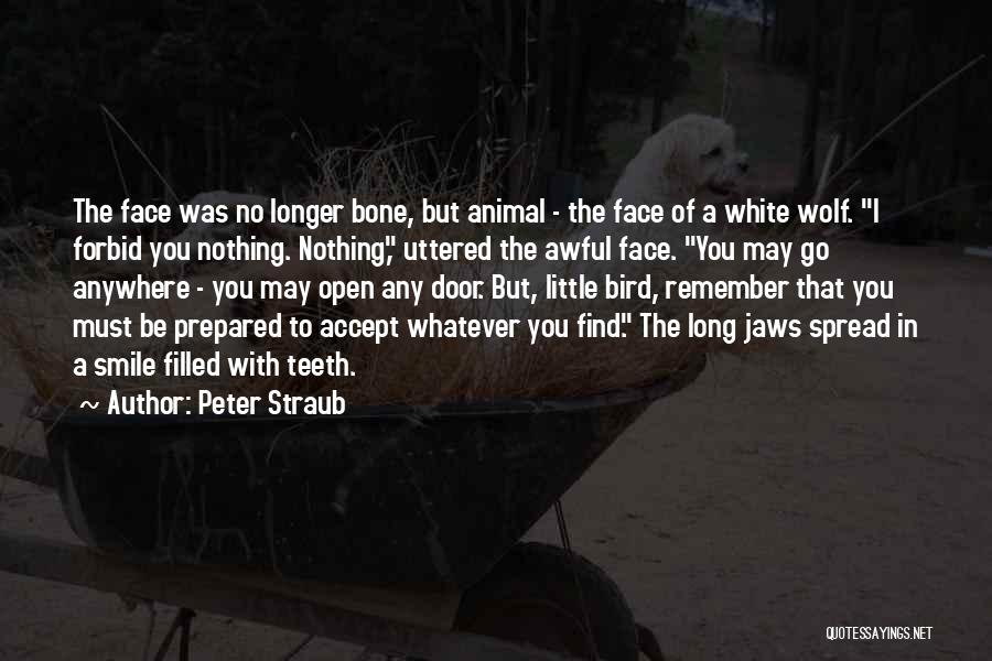 Spread The Smile Quotes By Peter Straub