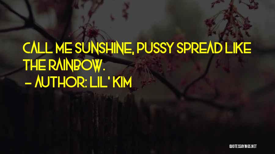 Spread The Sunshine Quotes By Lil' Kim