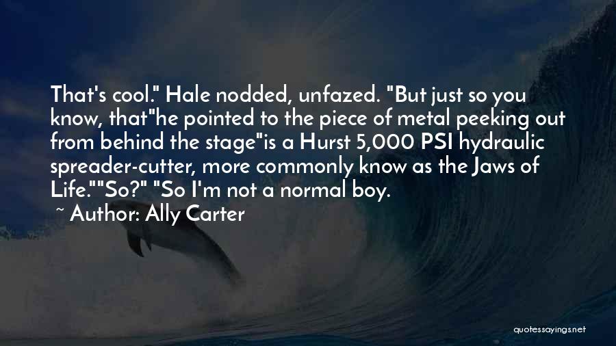 Spreader Quotes By Ally Carter