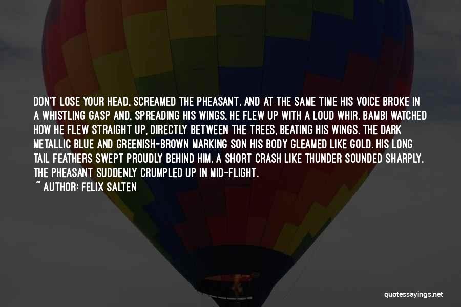 Spreading My Wings Quotes By Felix Salten