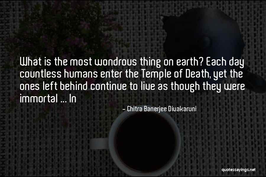 Spreekwoorden Quotes By Chitra Banerjee Divakaruni Spreekwoorden Quotes By Chitra Banerjee Divakaruni