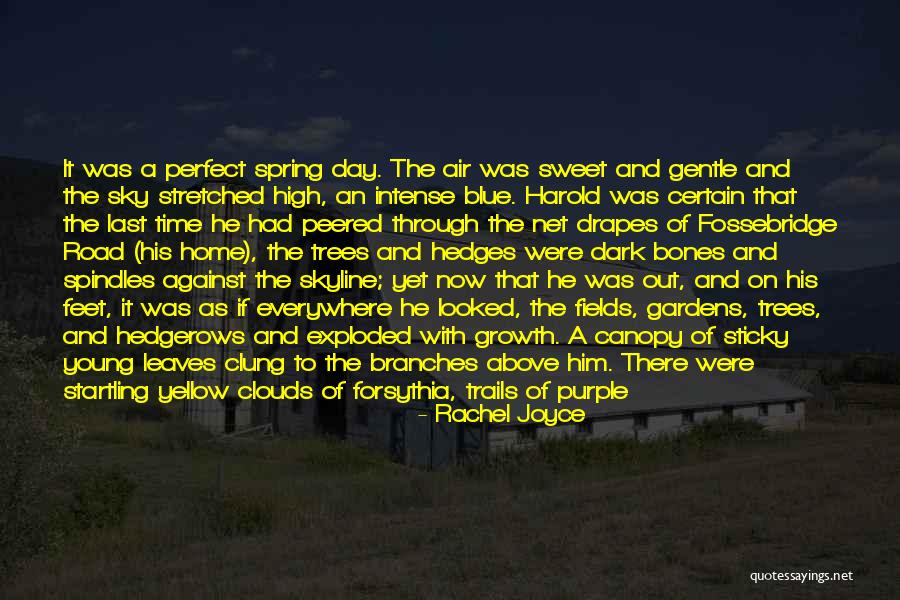 Spring And Growth Quotes By Rachel Joyce Spring And Growth Quotes By Rachel Joyce