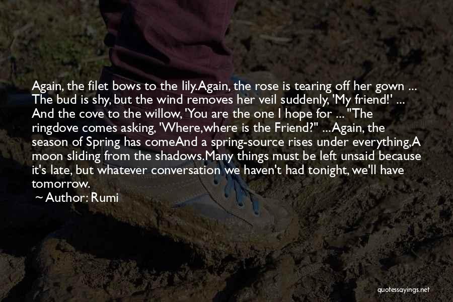 Spring And Hope Quotes By Rumi