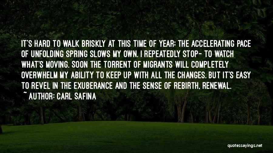 Spring And Renewal Quotes By Carl Safina