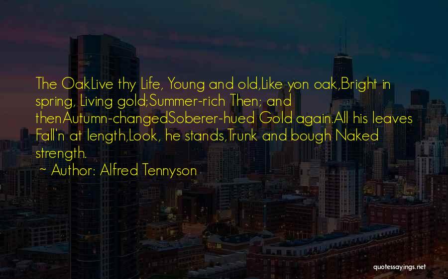 Spring And Summer Quotes By Alfred Tennyson