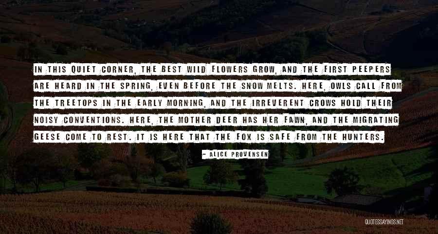 Spring Flowers Quotes By Alice Provensen Spring Flowers Quotes By Alice Provensen