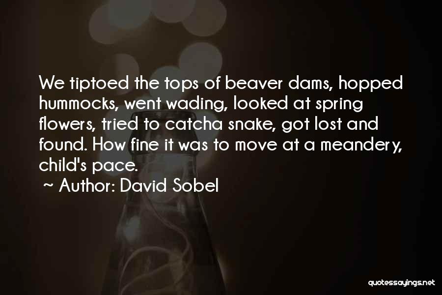 Spring Flowers Quotes By David Sobel