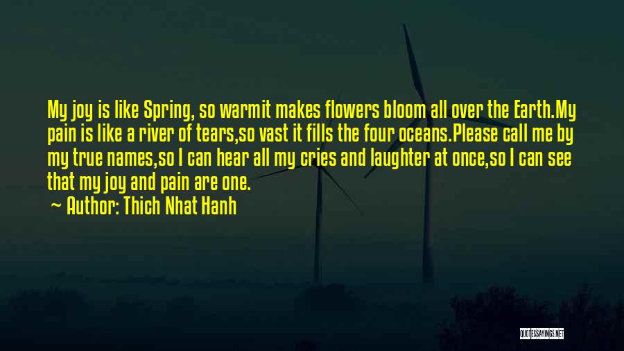 Spring Flowers Quotes By Thich Nhat Hanh