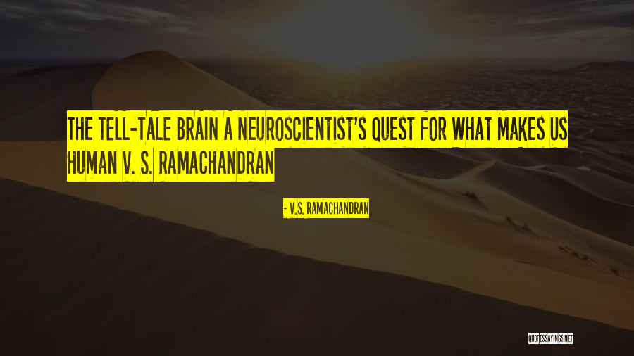 Spring Ford Football Quotes By V.S. Ramachandran Spring Ford Football Quotes By V.S. Ramachandran