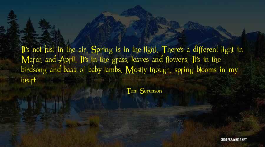 Spring Lambs Quotes By Toni Sorenson