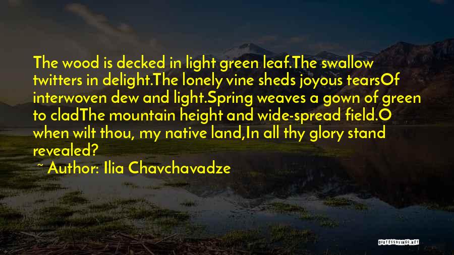 Spring Leaf Quotes By Ilia Chavchavadze
