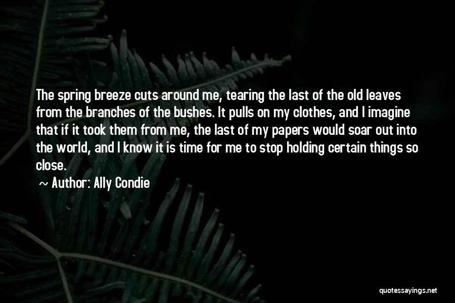 Spring Leaves Quotes By Ally Condie