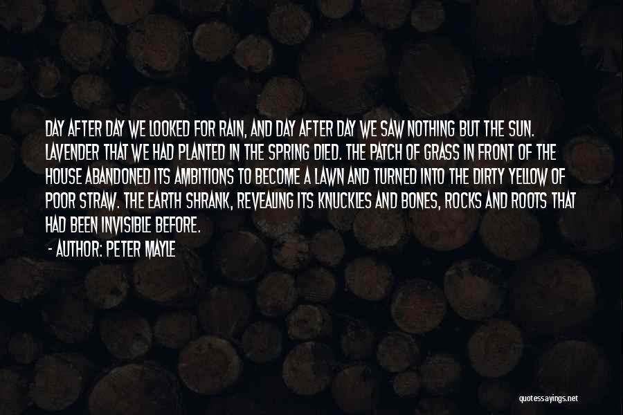 Spring Rain Quotes By Peter Mayle