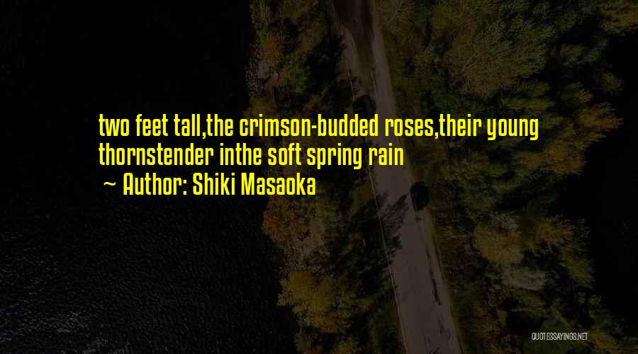 Spring Rain Quotes By Shiki Masaoka