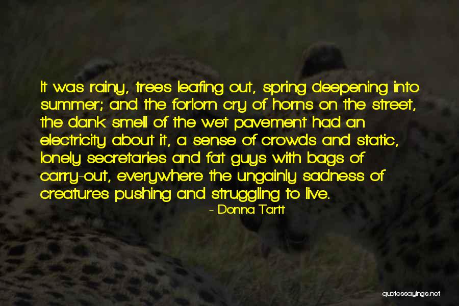 Spring Summer Quotes By Donna Tartt Spring Summer Quotes By Donna Tartt