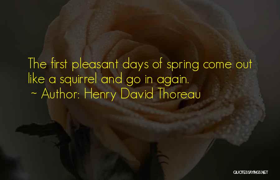 Spring Thoreau Quotes By Henry David Thoreau