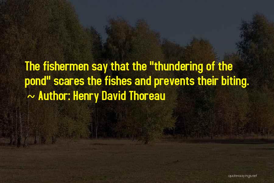 Spring Thoreau Quotes By Henry David Thoreau