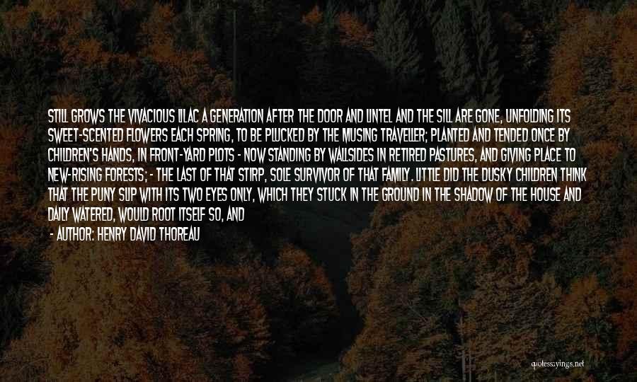 Spring Thoreau Quotes By Henry David Thoreau